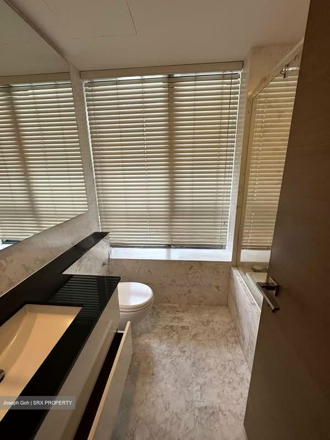 The Trizon (D10), Condominium #573109241